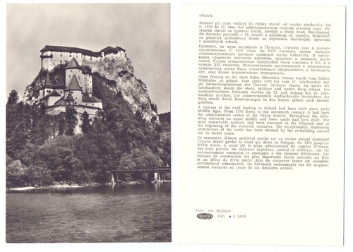 126570 orava foto reale - orava,